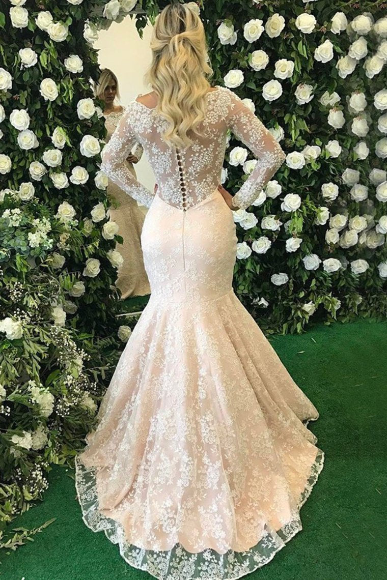 2024 Long Sleeves Scoop Mother Of The Bride Dresses Mermaid Lace With
