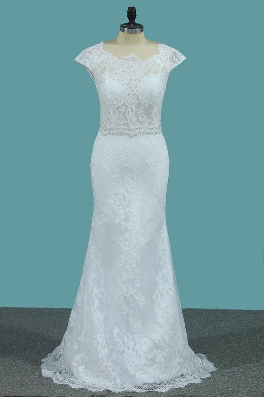 2024 Lace Wedding Dresses Scoop With Beaded Waistline Covered Button Open
