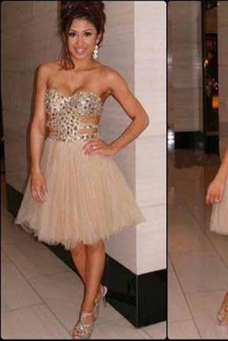 Champagne Short Prom Dresses 2024 Homecoming Gowns Tulle Homecoming Dresses